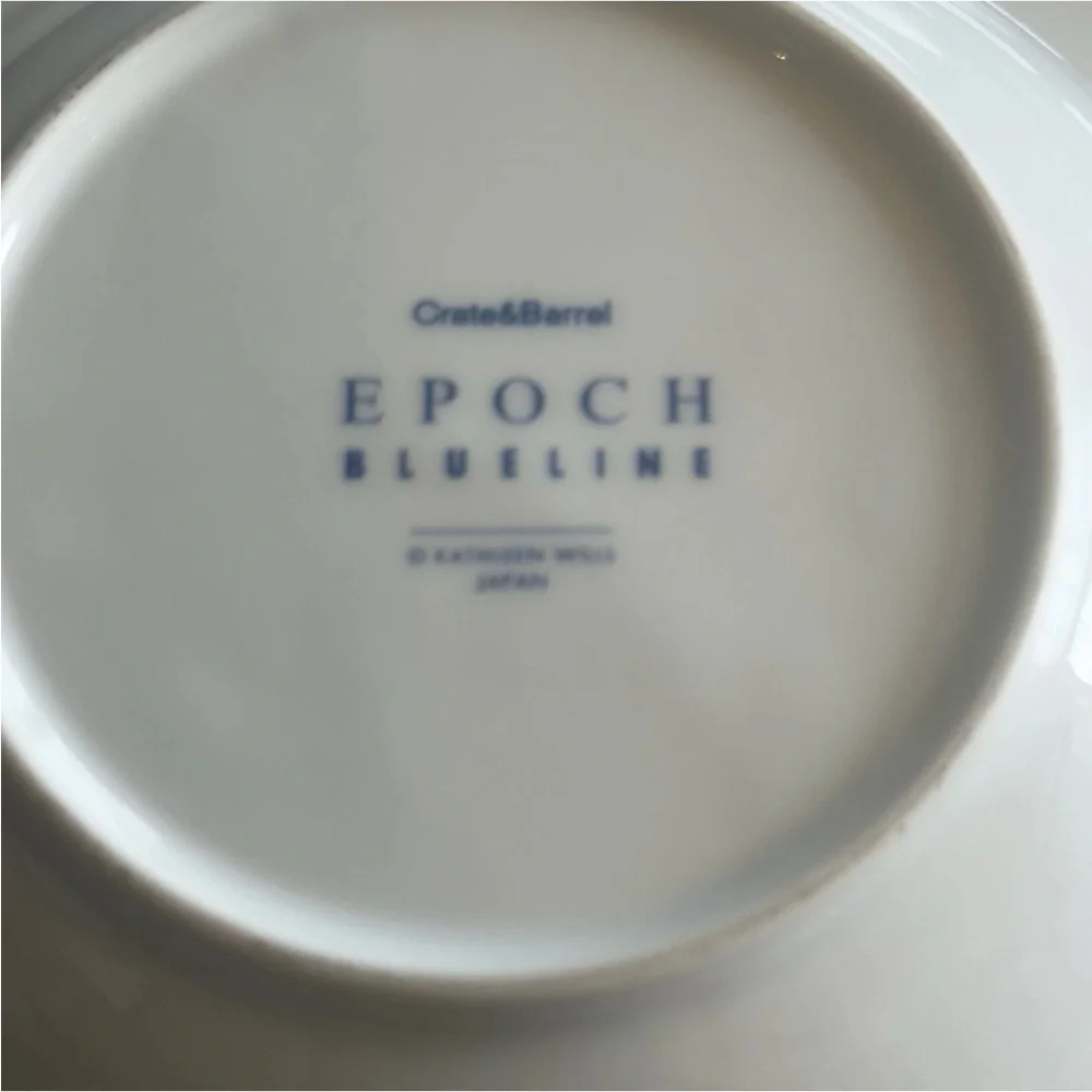 Crate & Barrel Epoch Blue Line 9.25
